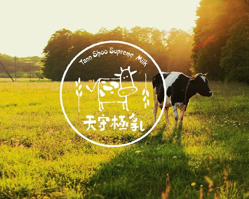 天守極乳-CIS品牌